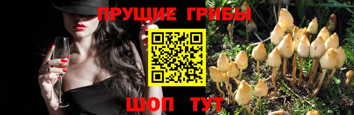 Десногорск  Псилоцибиновые грибы мицелий  Псилоцибиновые грибы Magic Shrooms  Вход с VPN 